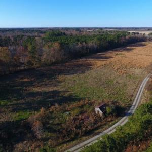 Photo of UNDER CONTRACT!  70.53 Acres of Hunting and Timber Land For Sale in Edgecombe County NC!