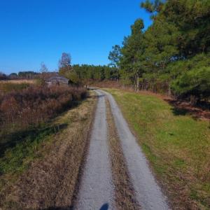 Photo of UNDER CONTRACT!  70.53 Acres of Hunting and Timber Land For Sale in Edgecombe County NC!