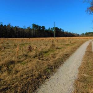 Photo of UNDER CONTRACT!  70.53 Acres of Hunting and Timber Land For Sale in Edgecombe County NC!