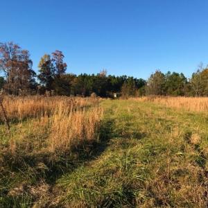 Photo of UNDER CONTRACT!  70.53 Acres of Hunting and Timber Land For Sale in Edgecombe County NC!