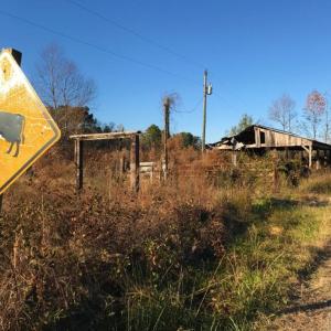 Photo of UNDER CONTRACT!  70.53 Acres of Hunting and Timber Land For Sale in Edgecombe County NC!