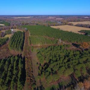 Photo of UNDER CONTRACT!  70.53 Acres of Hunting and Timber Land For Sale in Edgecombe County NC!