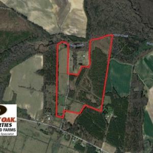 Photo of UNDER CONTRACT!  70.53 Acres of Hunting and Timber Land For Sale in Edgecombe County NC!