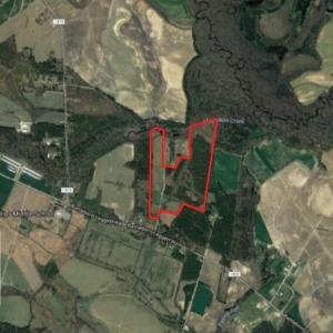 Photo of UNDER CONTRACT!  70.53 Acres of Hunting and Timber Land For Sale in Edgecombe County NC!