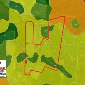 Photo of UNDER CONTRACT!  70.53 Acres of Hunting and Timber Land For Sale in Edgecombe County NC!