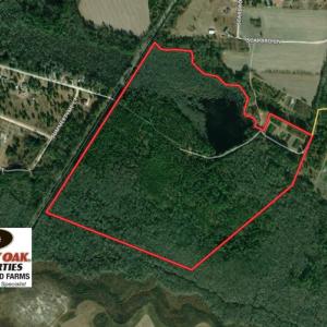 Photo of UNDER CONTRACT!  131 Acres of Hunting and Timber Land For Sale in Robeson County NC!