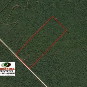 Photo of UNDER CONTRACT!  60 Acres of Bear and Deer Hunting Land For Sale in Hyde County NC!