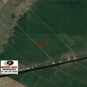 Photo of UNDER CONTRACT!  60 Acres of Bear and Deer Hunting Land For Sale in Hyde County NC!