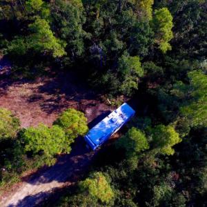 Photo of UNDER CONTRACT!  60 Acres of Bear and Deer Hunting Land For Sale in Hyde County NC!
