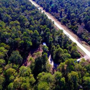Photo of UNDER CONTRACT!  60 Acres of Bear and Deer Hunting Land For Sale in Hyde County NC!