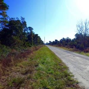 Photo of UNDER CONTRACT!  60 Acres of Bear and Deer Hunting Land For Sale in Hyde County NC!
