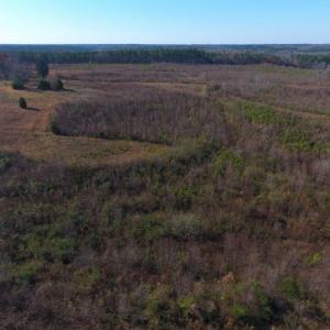 Photo of UNDER CONTRACT!  47.55 Acres of Hunting Land For Sale in Warren County NC!