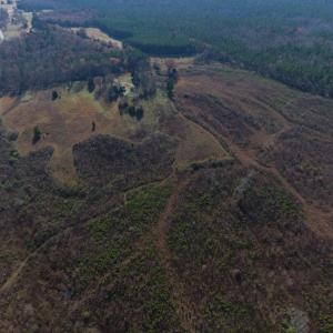 Photo of UNDER CONTRACT!  47.55 Acres of Hunting Land For Sale in Warren County NC!