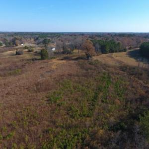 Photo of UNDER CONTRACT!  47.55 Acres of Hunting Land For Sale in Warren County NC!