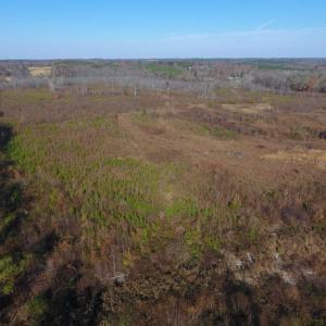Photo of UNDER CONTRACT!  47.55 Acres of Hunting Land For Sale in Warren County NC!