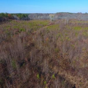 Photo of UNDER CONTRACT!  47.55 Acres of Hunting Land For Sale in Warren County NC!