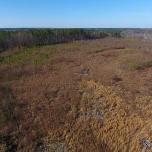 Photo of UNDER CONTRACT!  47.55 Acres of Hunting Land For Sale in Warren County NC!