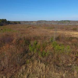 Photo of UNDER CONTRACT!  47.55 Acres of Hunting Land For Sale in Warren County NC!
