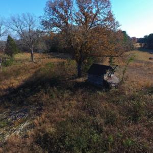 Photo of UNDER CONTRACT!  47.55 Acres of Hunting Land For Sale in Warren County NC!