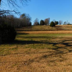 Photo of UNDER CONTRACT!  47.55 Acres of Hunting Land For Sale in Warren County NC!