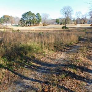 Photo of UNDER CONTRACT!  47.55 Acres of Hunting Land For Sale in Warren County NC!