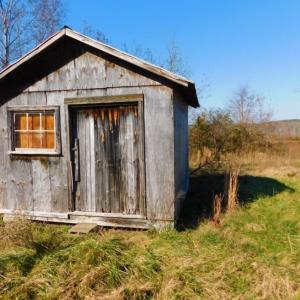 Photo of UNDER CONTRACT!  47.55 Acres of Hunting Land For Sale in Warren County NC!