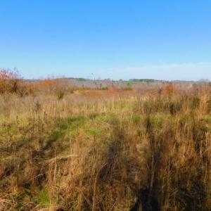 Photo of UNDER CONTRACT!  47.55 Acres of Hunting Land For Sale in Warren County NC!