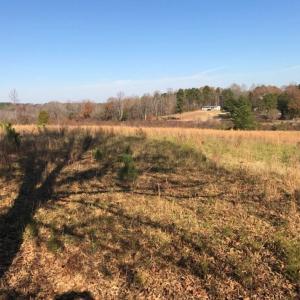 Photo of UNDER CONTRACT!  47.55 Acres of Hunting Land For Sale in Warren County NC!