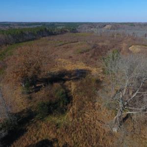 Photo of UNDER CONTRACT!  47.55 Acres of Hunting Land For Sale in Warren County NC!
