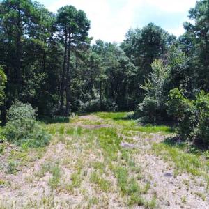 Photo of SOLD!!  60 Acres of Hunting Land For Sale in Hyde County NC!
