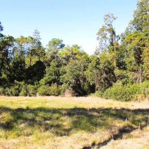 Photo of SOLD!!  60 Acres of Hunting Land For Sale in Hyde County NC!