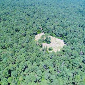 Photo of SOLD!!  60 Acres of Hunting Land For Sale in Hyde County NC!