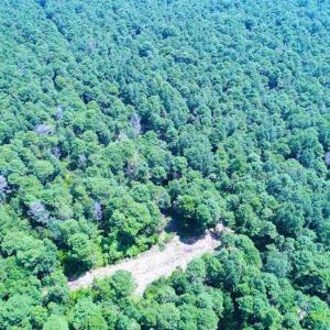 Photo of SOLD!!  60 Acres of Hunting Land For Sale in Hyde County NC!