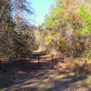 Photo of SOLD!!  60 Acres of Hunting Land For Sale in Hyde County NC!