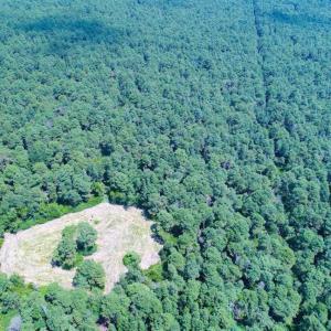 Photo of SOLD!!  60 Acres of Hunting Land For Sale in Hyde County NC!