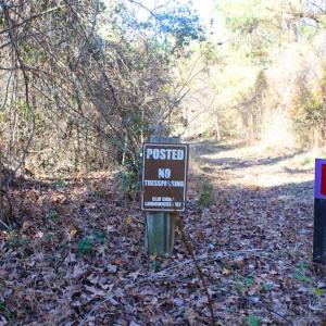 Photo of SOLD!!  60 Acres of Hunting Land For Sale in Hyde County NC!