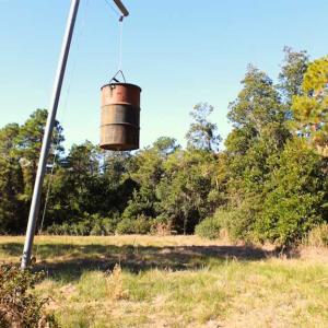 Photo of SOLD!!  60 Acres of Hunting Land For Sale in Hyde County NC!