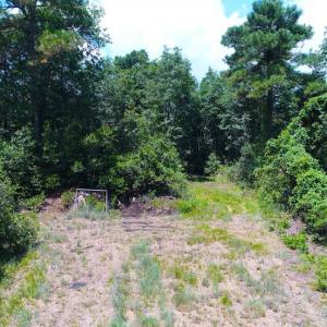 Photo of SOLD!!  60 Acres of Hunting Land For Sale in Hyde County NC!