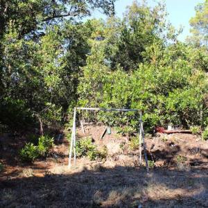 Photo of SOLD!!  60 Acres of Hunting Land For Sale in Hyde County NC!