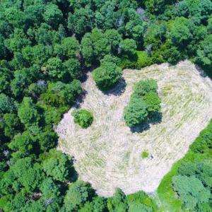 Photo of SOLD!!  60 Acres of Hunting Land For Sale in Hyde County NC!