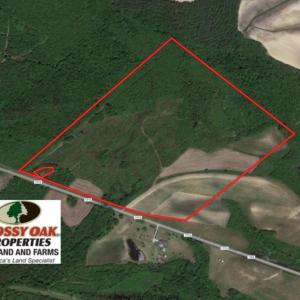 Photo of UNDER CONTRACT!  60 Acres of Farm Timber and Hunting Land For Sale in Pitt County NC!