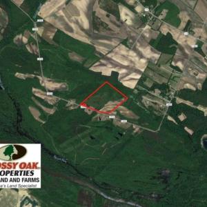 Photo of UNDER CONTRACT!  60 Acres of Farm Timber and Hunting Land For Sale in Pitt County NC!