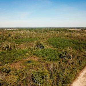 Photo of UNDER CONTRACT!  60 Acres of Farm Timber and Hunting Land For Sale in Pitt County NC!