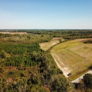 Photo of UNDER CONTRACT!  60 Acres of Farm Timber and Hunting Land For Sale in Pitt County NC!