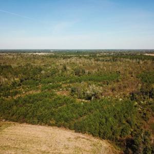 Photo of UNDER CONTRACT!  60 Acres of Farm Timber and Hunting Land For Sale in Pitt County NC!