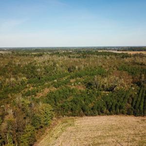 Photo of UNDER CONTRACT!  60 Acres of Farm Timber and Hunting Land For Sale in Pitt County NC!
