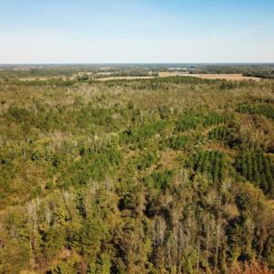 Photo of UNDER CONTRACT!  60 Acres of Farm Timber and Hunting Land For Sale in Pitt County NC!