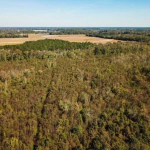 Photo of UNDER CONTRACT!  60 Acres of Farm Timber and Hunting Land For Sale in Pitt County NC!