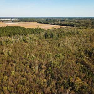 Photo of UNDER CONTRACT!  60 Acres of Farm Timber and Hunting Land For Sale in Pitt County NC!