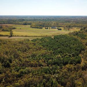 Photo of UNDER CONTRACT!  60 Acres of Farm Timber and Hunting Land For Sale in Pitt County NC!